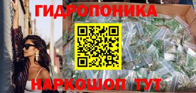 шишки Апшеронск