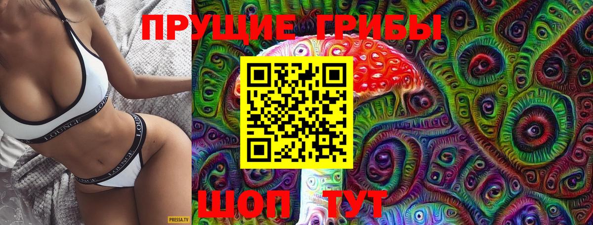 Псилоцибиновые грибы GOLDEN TEACHER  Вход с VPN  Баксан  Галлюциногенные грибы MAGIC MUSHROOMS 